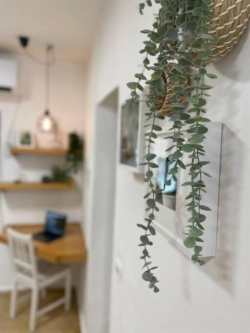 Tko'A #2 Apartment เยรูซาเลม ภายนอก รูปภาพ